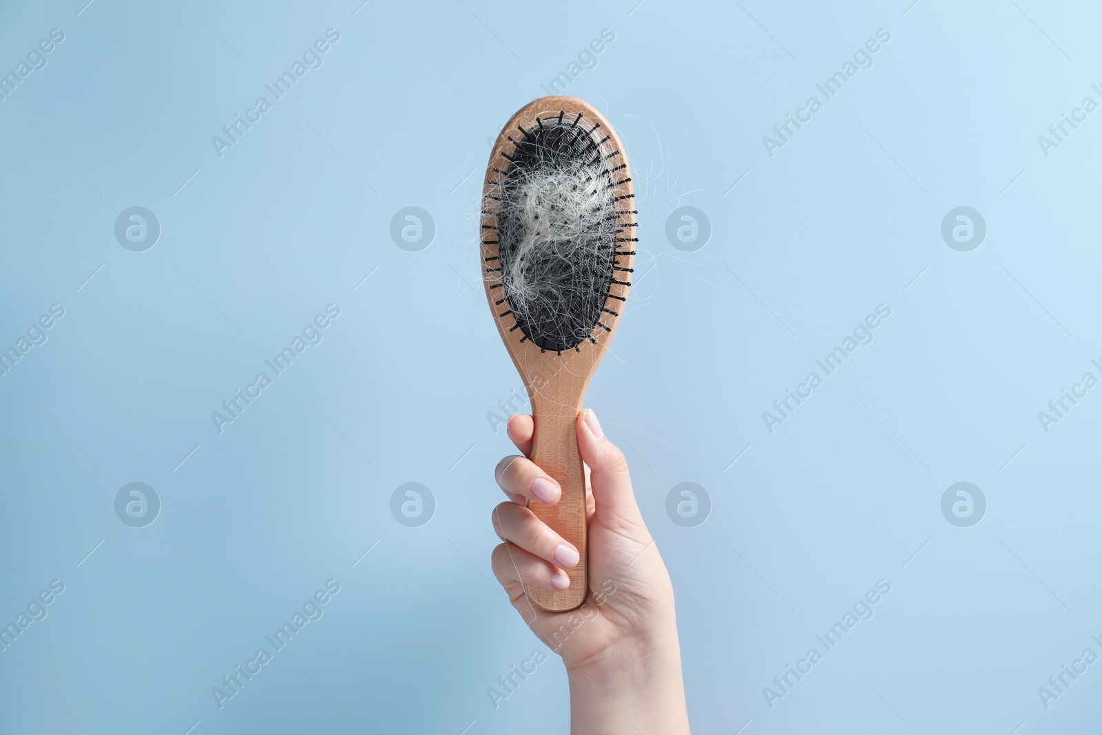 Photo of Woman holding brush with lost hair on light blue background, closeup