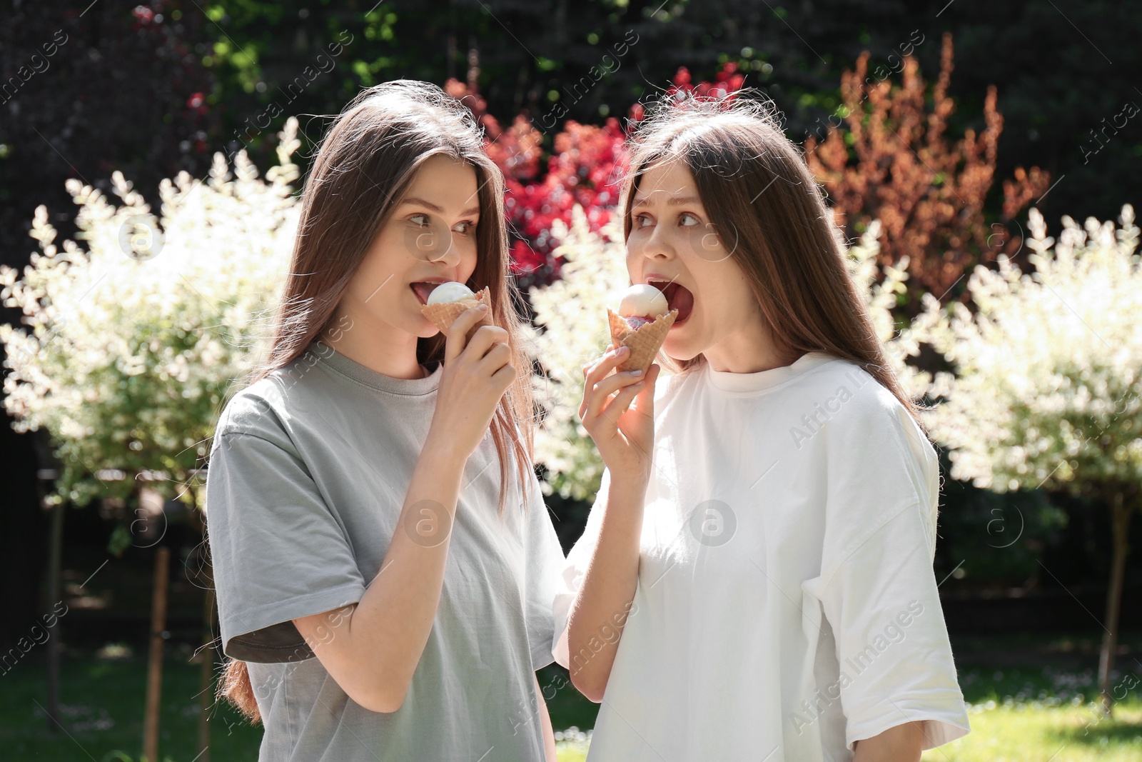 Photo of Two beautiful twin sisters eating ice cream in park