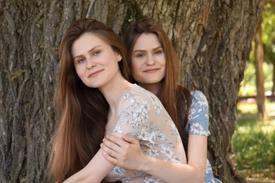 Two beautiful twin sisters near tree outdoors