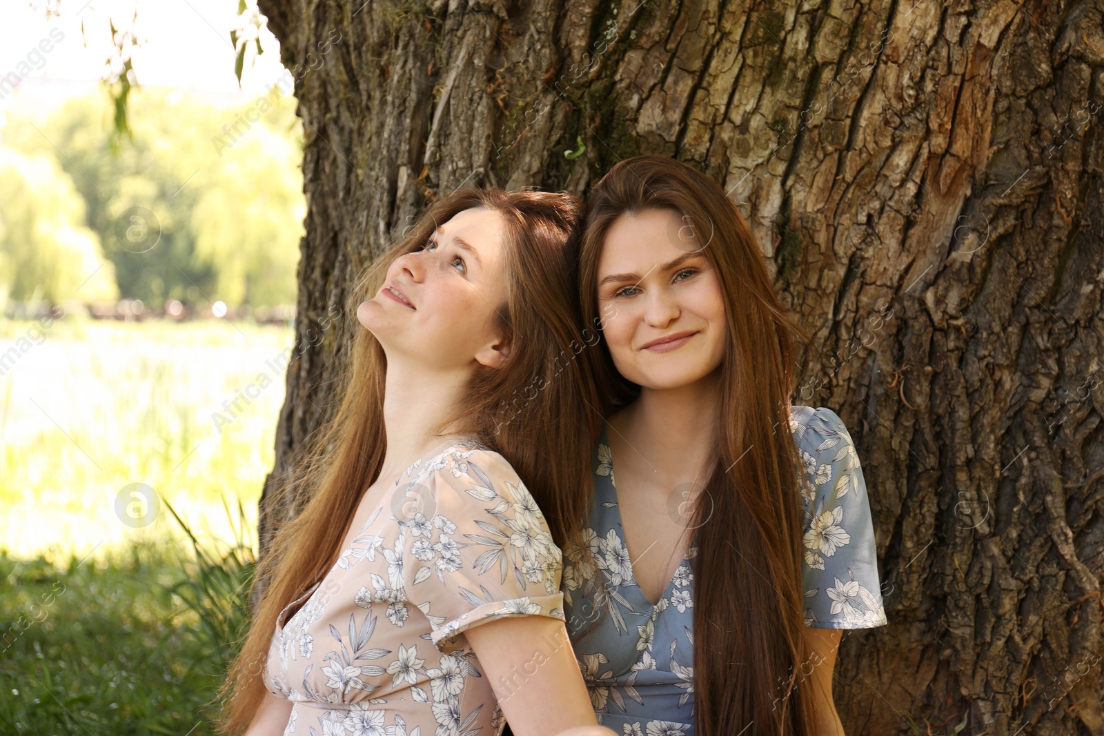 Photo of Two beautiful twin sisters near tree outdoors