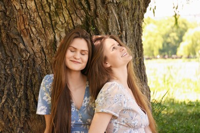 Photo of Two beautiful twin sisters near tree outdoors