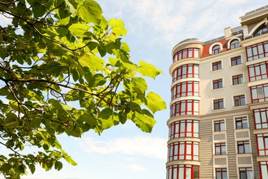 Modern building with glass windows and green tree outdoors, selective focus