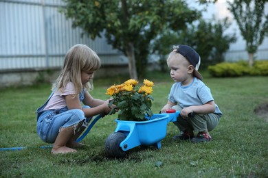 Cute little boy holding wheelbarrow while his sister watering flowers outdoors