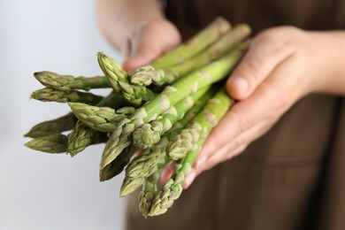 Photo of Woman with fresh asparagus stems on light grey background, closeup