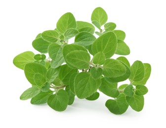 Sprigs of fresh green oregano isolated on white