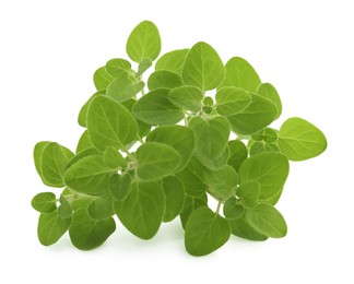 Sprigs of fresh green oregano isolated on white