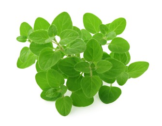 Sprigs of fresh green oregano isolated on white