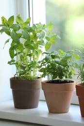 Photo of Different herbs growing in pots on window sill