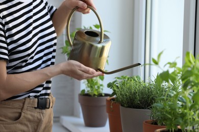 Photo of Woman watering potted herbs at window sill, closeup