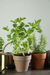 Herbs growing in pots on wooden table