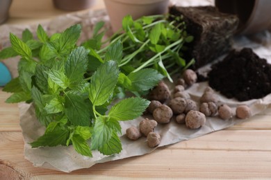 Transplanting herb. Mint in soil on wooden table, closeup