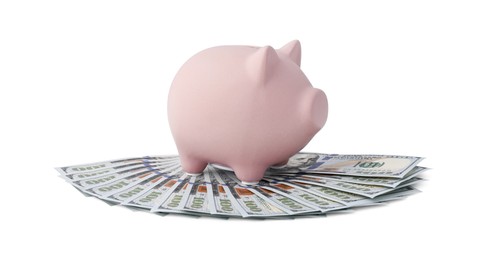 Piggy bank and money on white background