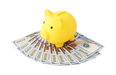 Yellow piggy bank and money on white background