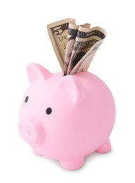 Pink piggy bank with money on white background