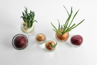 Many sprouted onions in glasses on white background, flat lay