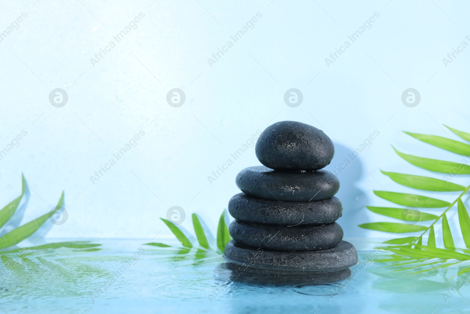 Photo of Spa stones and palm leaves in water on light blue background. Space for text