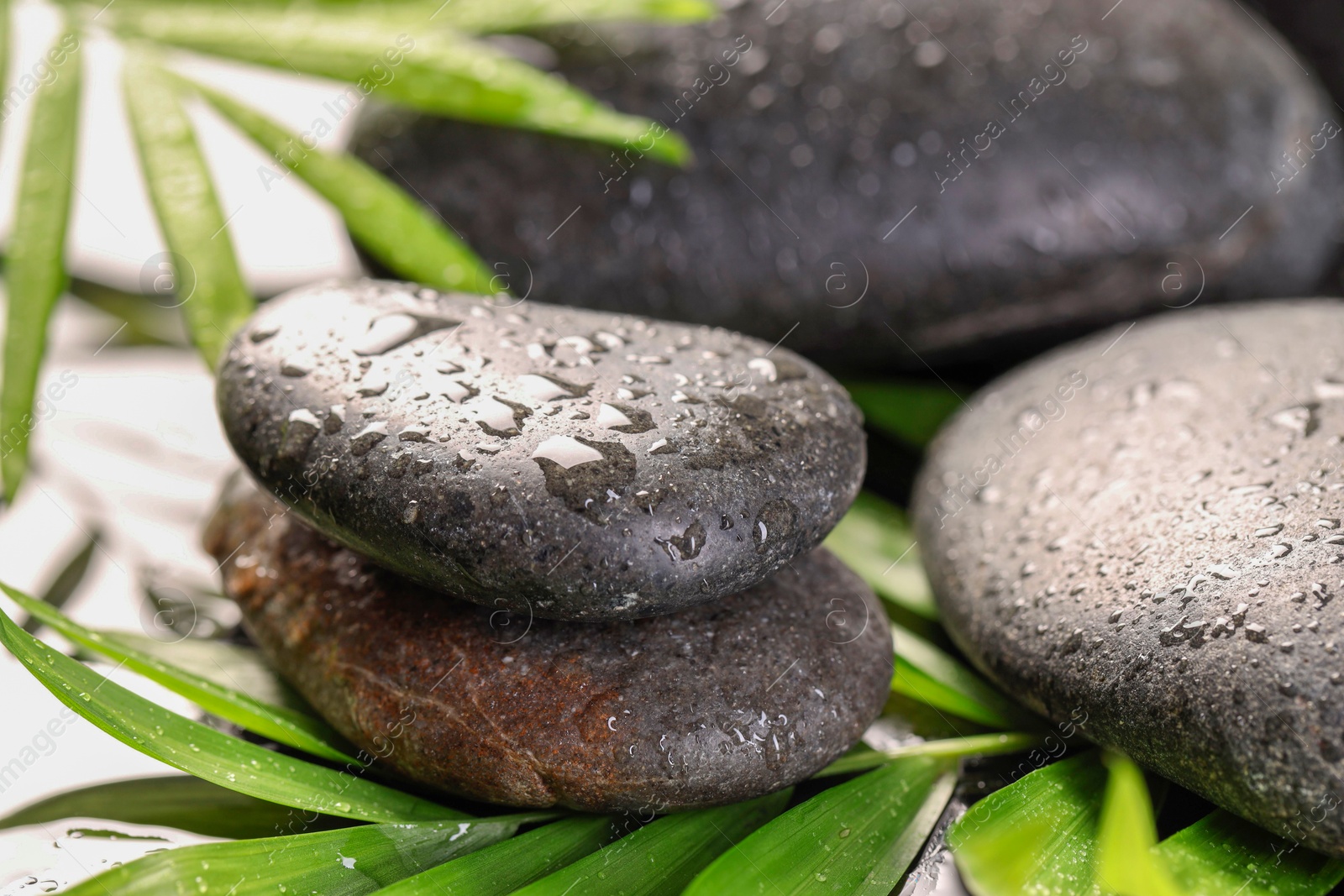 Photo of Wet spa stones and palm leaves in water on light background, closeup