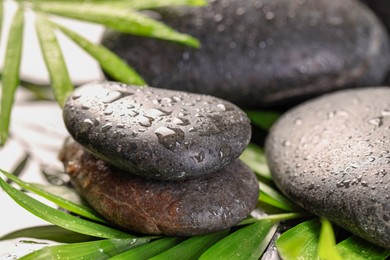 Wet spa stones and palm leaves in water on light background, closeup