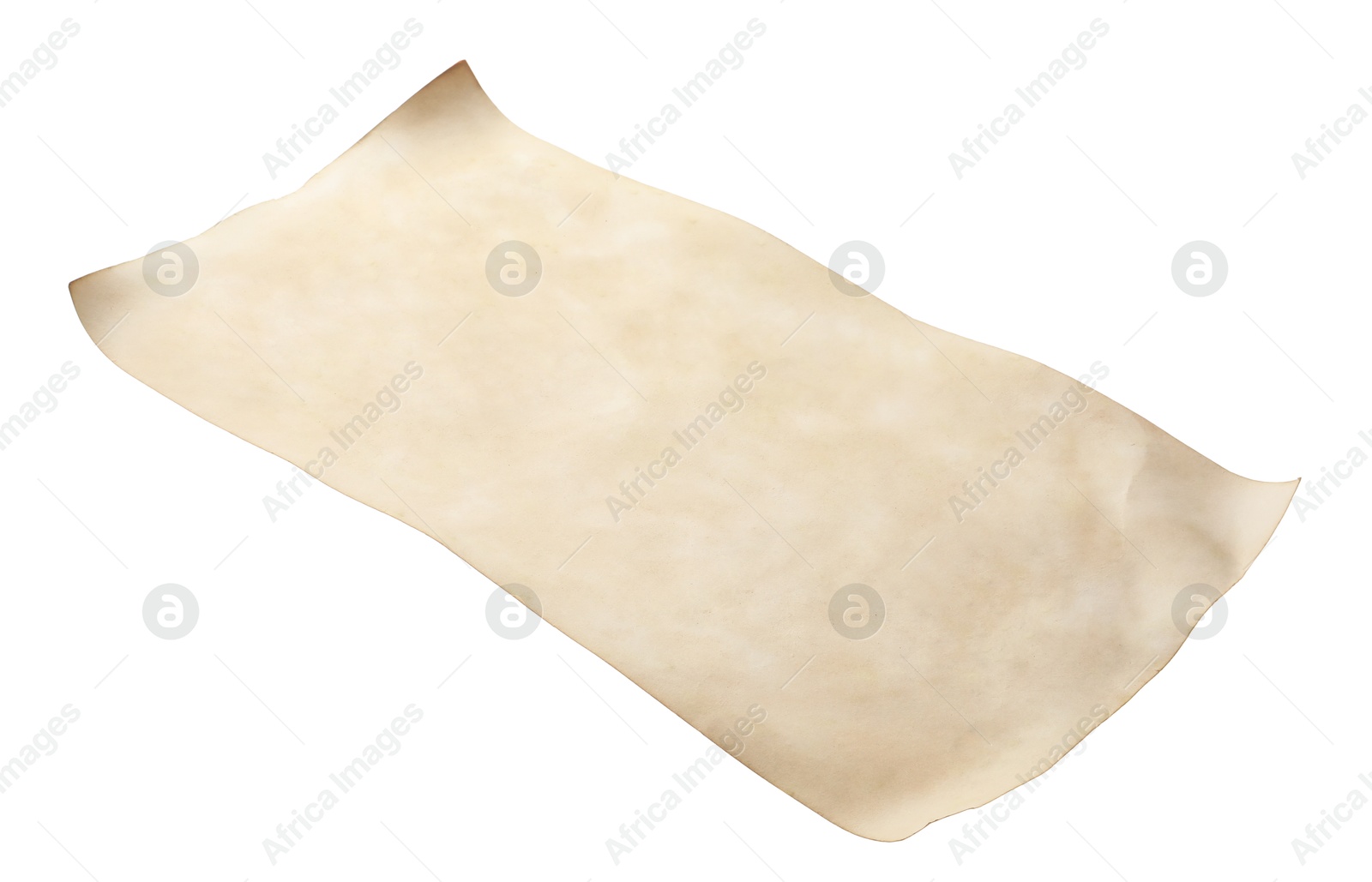 Photo of Sheet of old parchment paper isolated on white