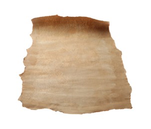 Photo of Sheet of old parchment paper isolated on white