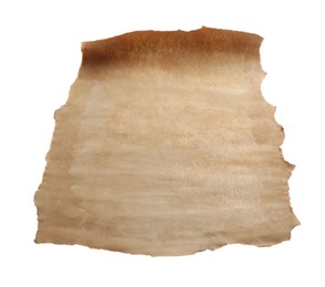 Sheet of old parchment paper isolated on white