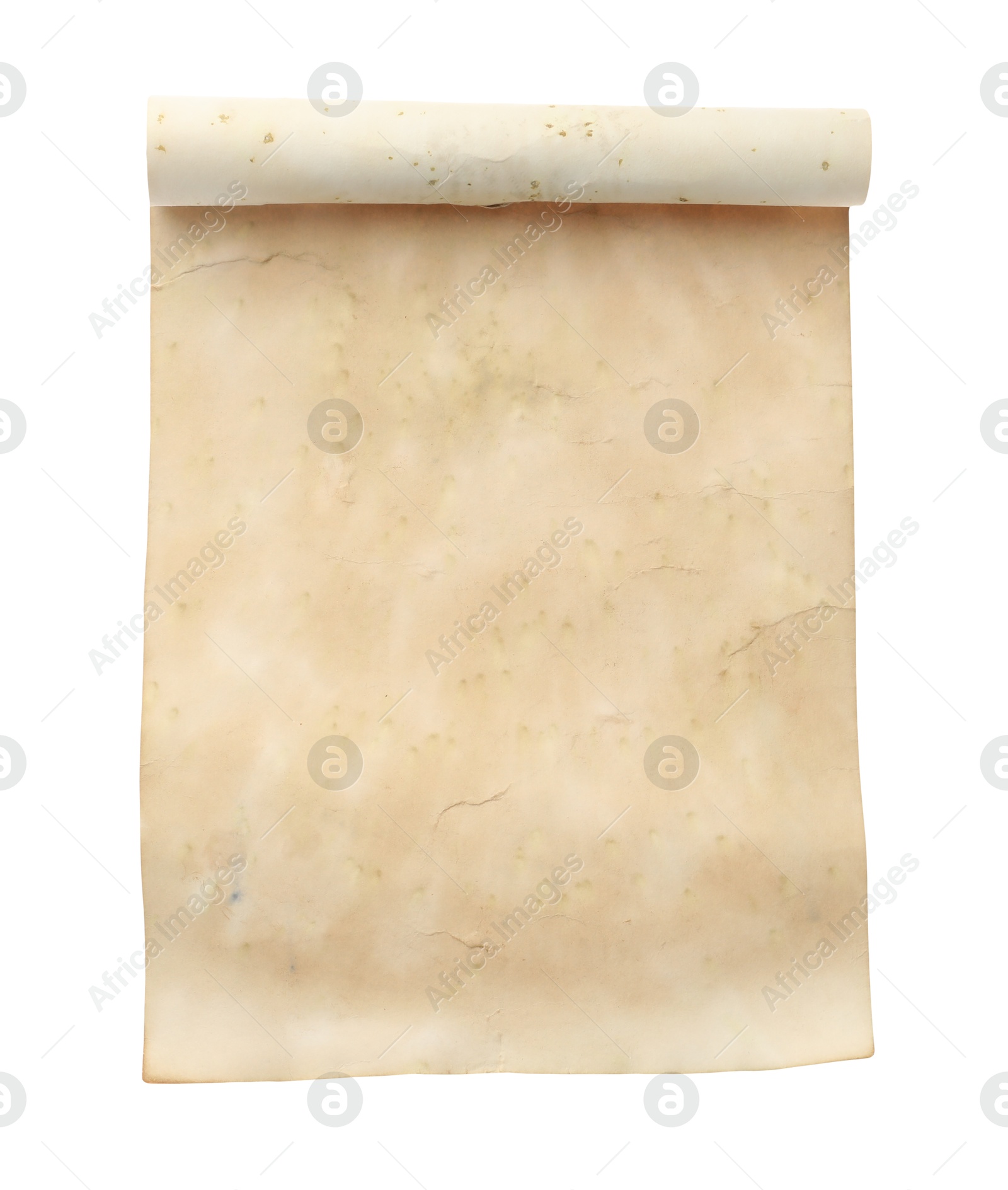 Photo of Scroll of old parchment paper isolated on white