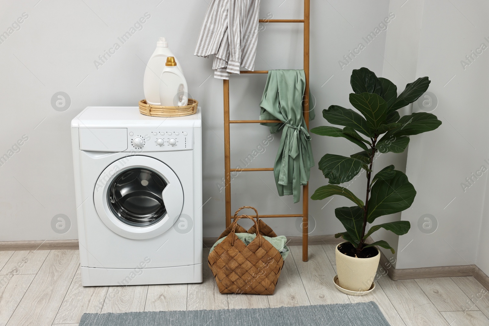 Photo of Washing machine, detergents, houseplant and ladder in laundry room