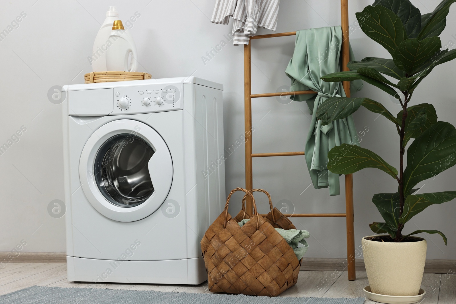 Photo of Washing machine, detergents, houseplant and ladder in laundry room