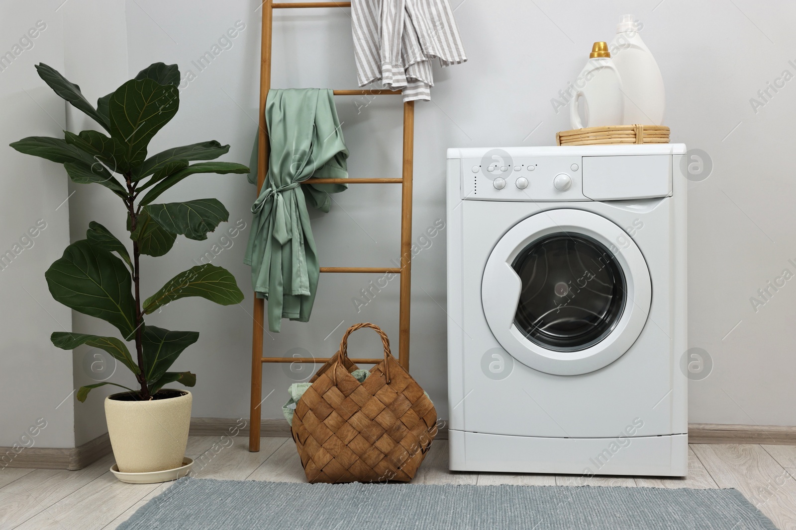 Photo of Washing machine, detergents, houseplant and ladder in laundry room