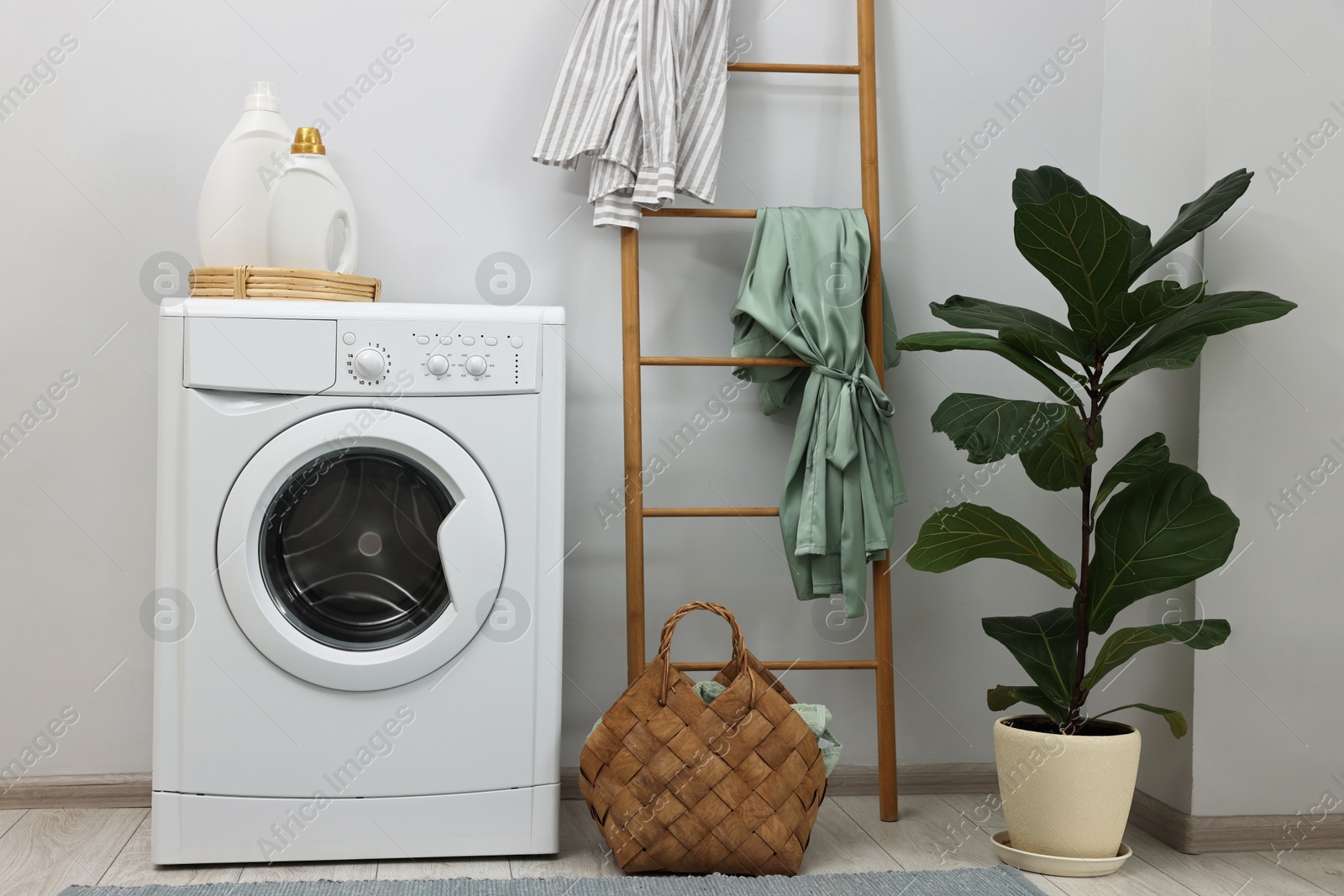 Photo of Washing machine, detergents, houseplant and ladder in laundry room