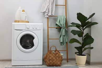 Photo of Washing machine, detergents, houseplant and ladder in laundry room