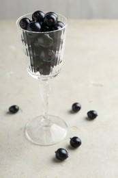 Fresh ripe black currants in glass on light table