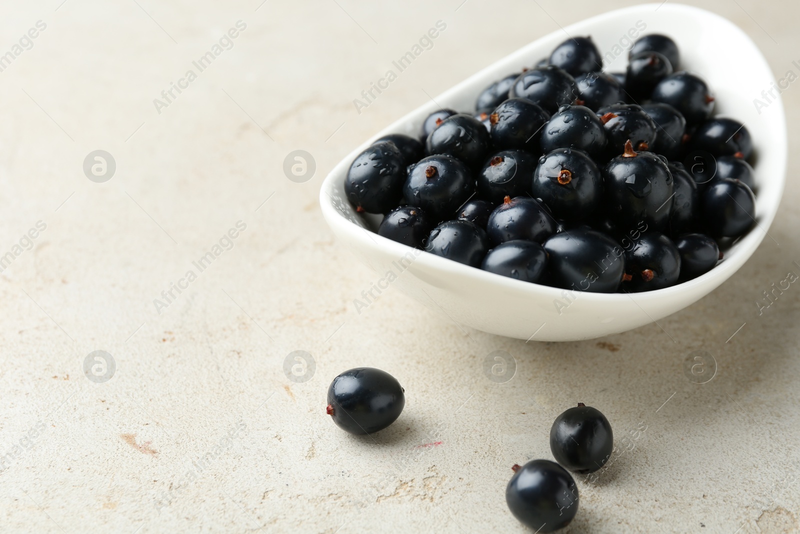 Photo of Ripe black currants in bowl on light table. Space for text