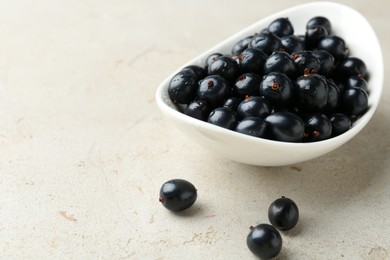 Ripe black currants in bowl on light table. Space for text