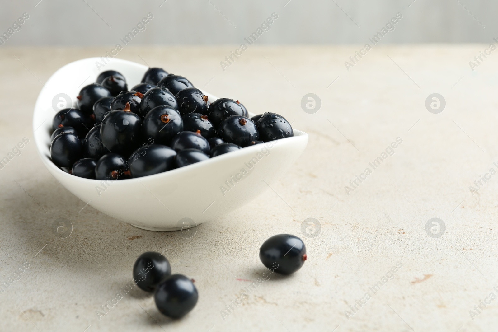 Photo of Ripe black currants in bowl on light table. Space for text