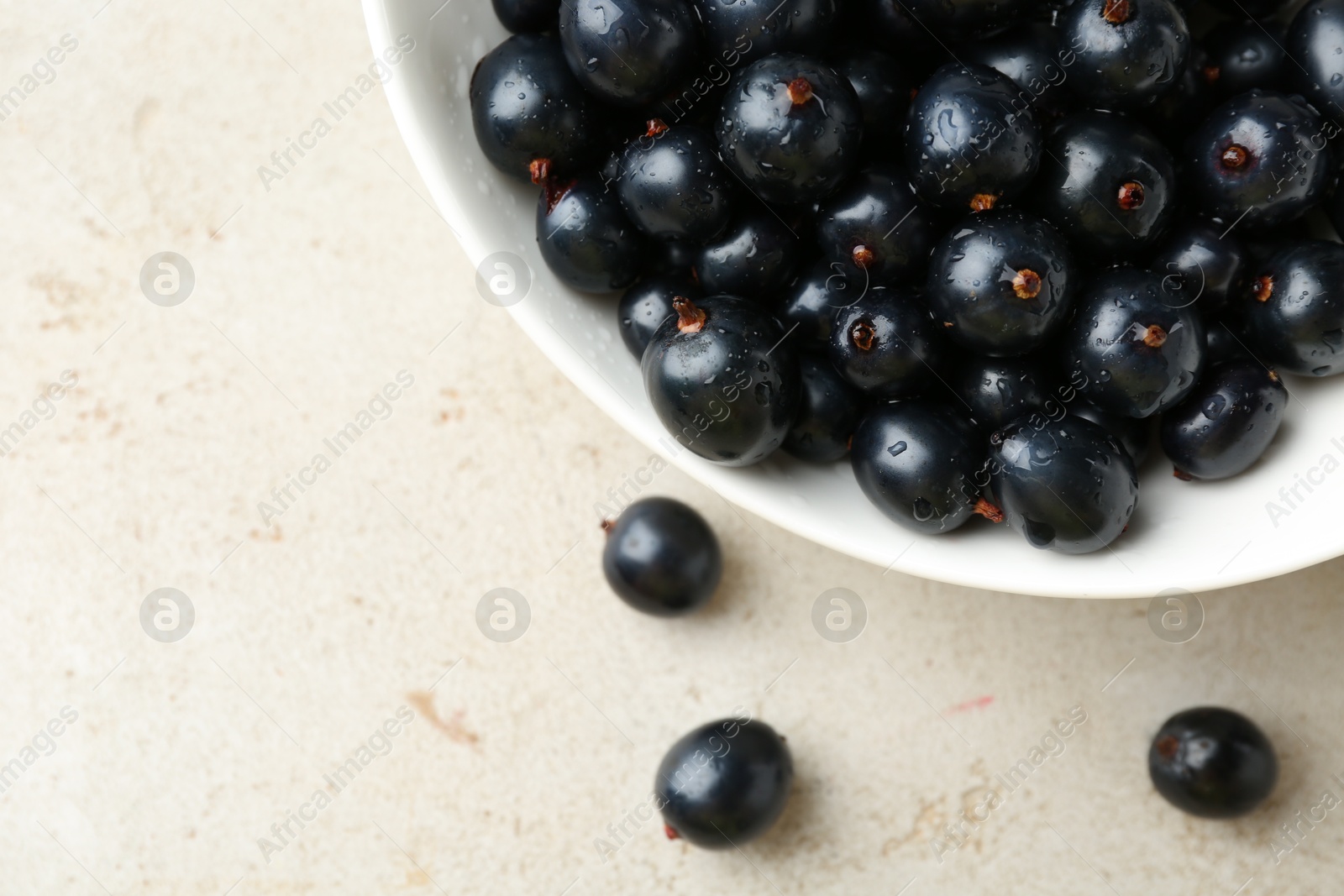 Photo of Ripe black currants in bowl on light table, top view. Space for text