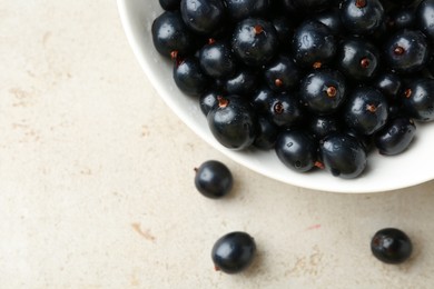 Ripe black currants in bowl on light table, top view. Space for text