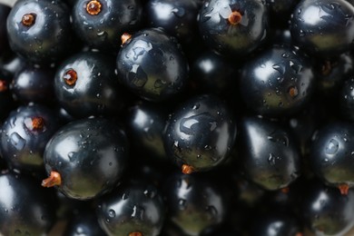 Fresh ripe black currants with water drops as background, top view