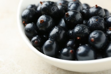 Ripe black currants in bowl on light table, closeup