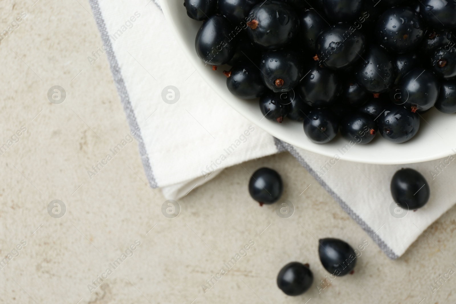 Photo of Ripe black currants in bowl on light table, top view. Space for text