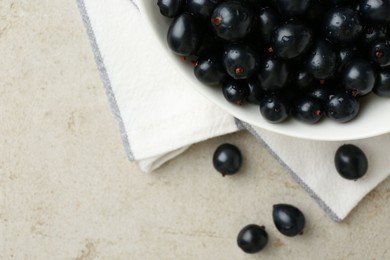 Ripe black currants in bowl on light table, top view. Space for text