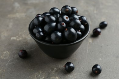 Ripe black currants in bowl on grey table