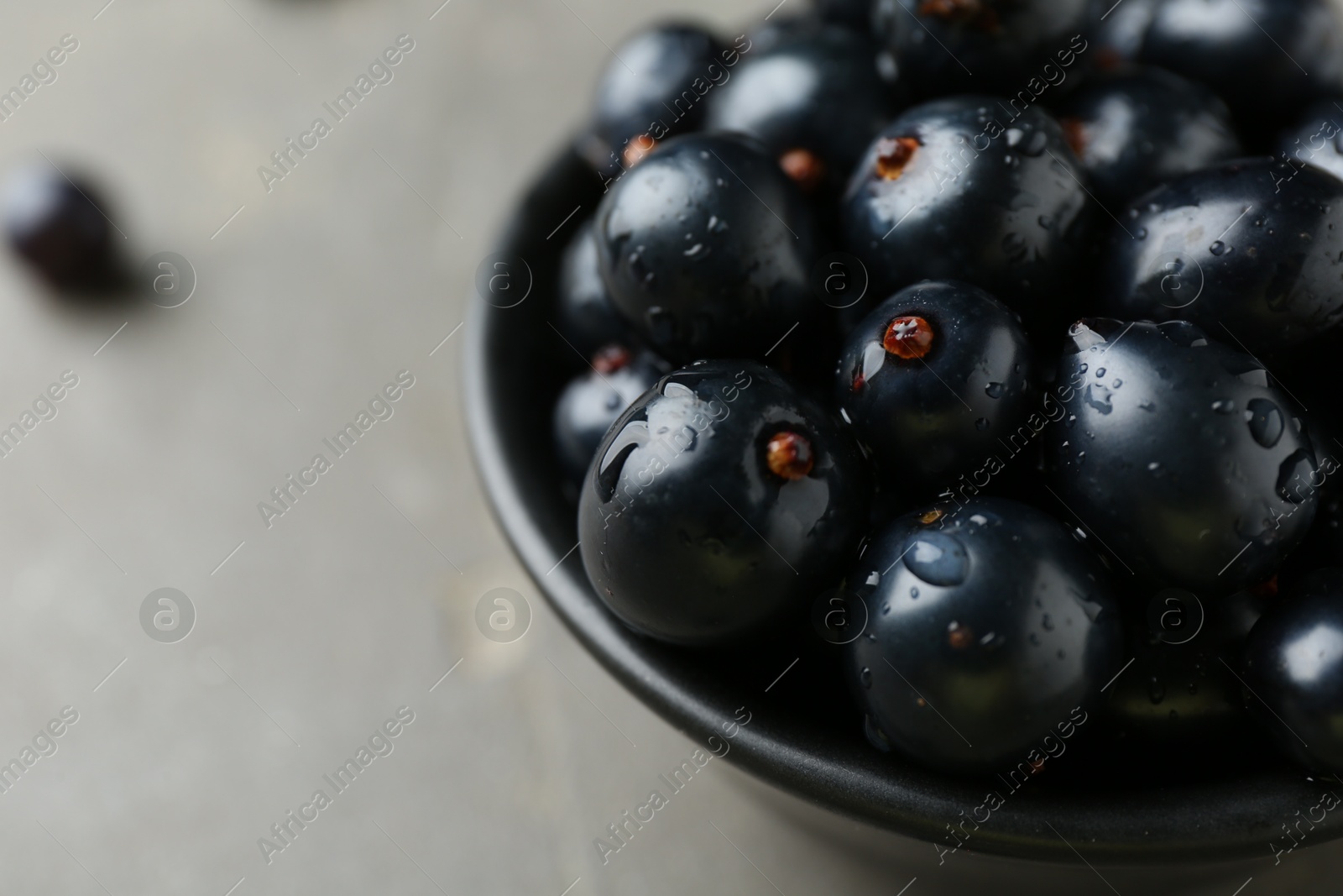 Photo of Ripe black currants in bowl on grey table, closeup. Space for text