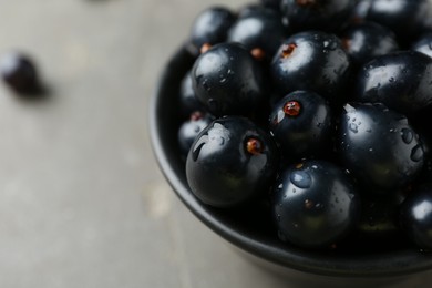 Photo of Ripe black currants in bowl on grey table, closeup. Space for text