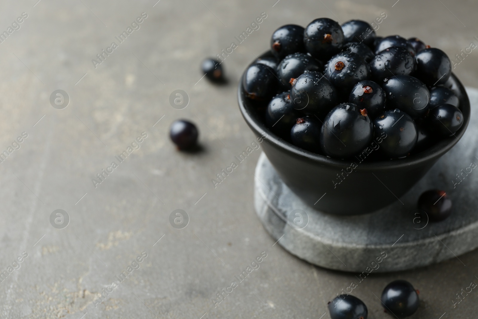 Photo of Ripe black currants in bowl on grey table. Space for text