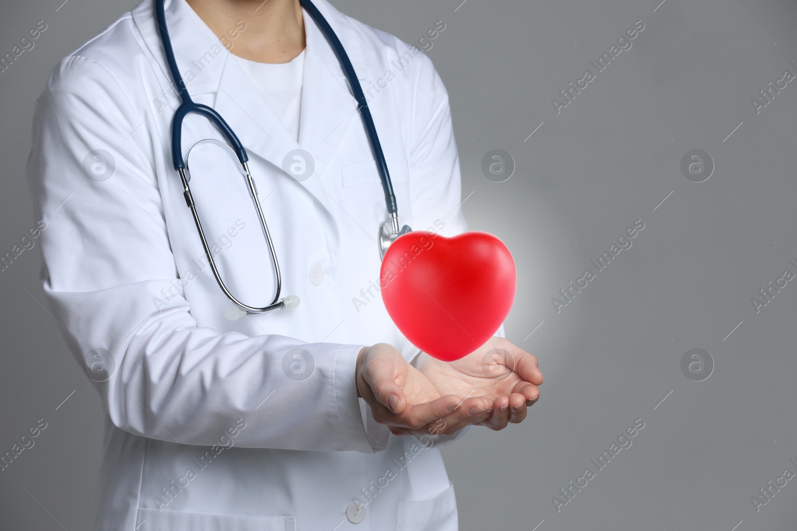 Image of Doctor holding red heart on grey background, closeup. Space for text