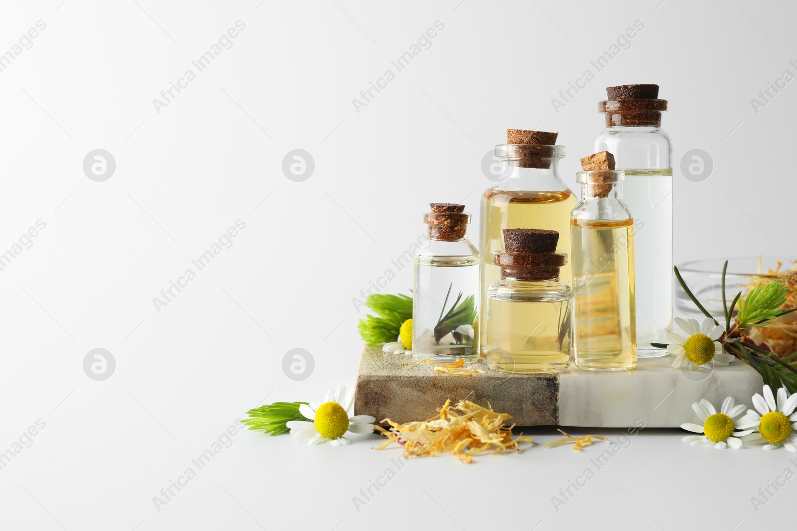 Photo of Aromatherapy. Different essential oils, dry flowers, chamomiles and fir twigs on white background, space for text