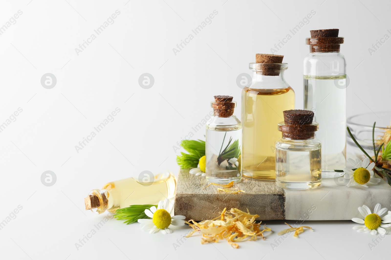 Photo of Aromatherapy. Different essential oils, dry flowers, chamomiles and fir twigs on white background, space for text