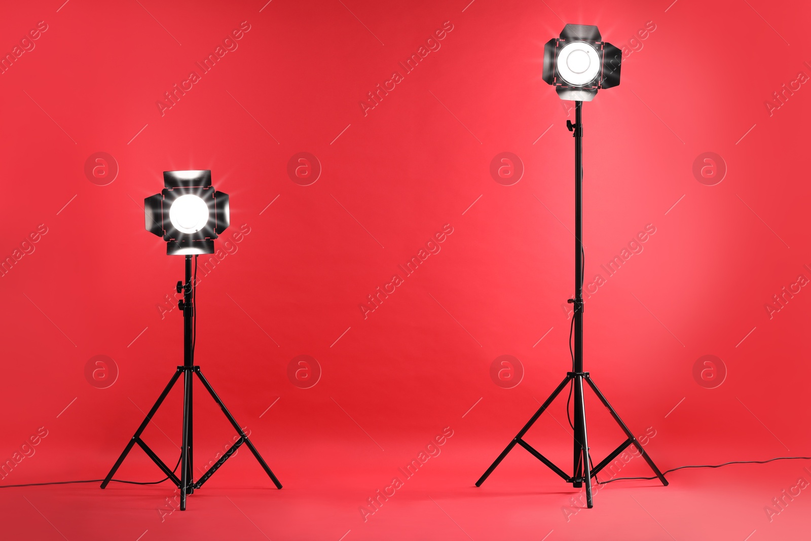 Photo of Red photo background and professional lighting equipment in studio