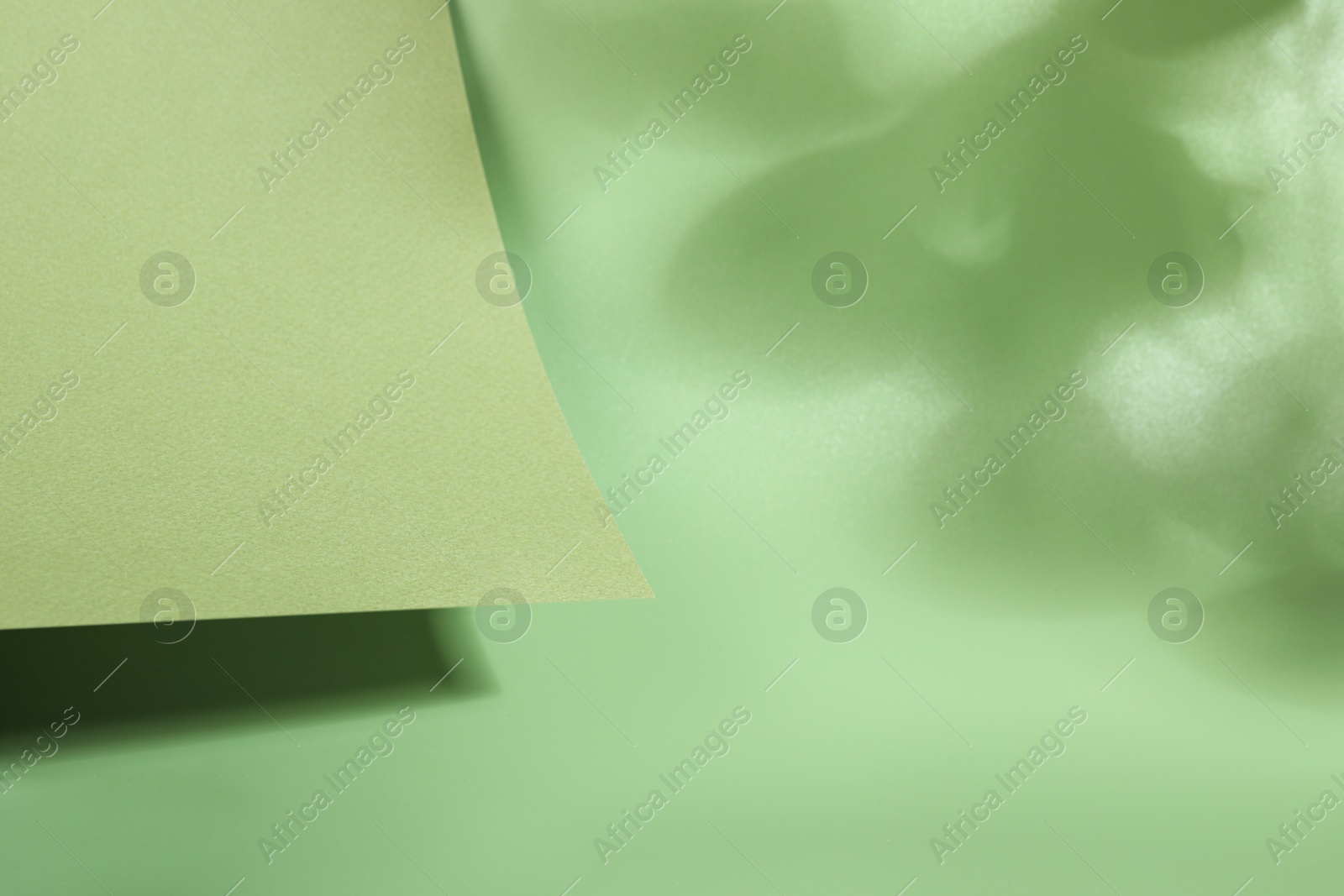 Photo of Presentation of product. Sheet of paper and shadows on green background. Space for text